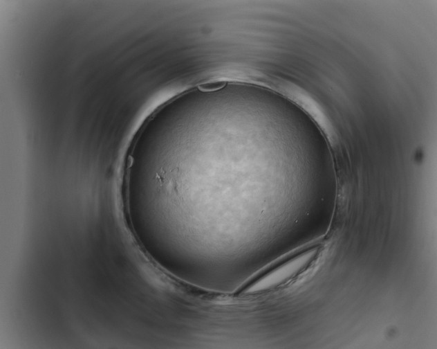 X0000103141146200808291332