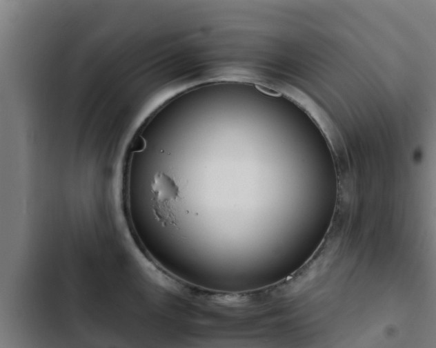 X0000103141147200808291332