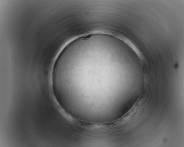 X0000103141148200808291332