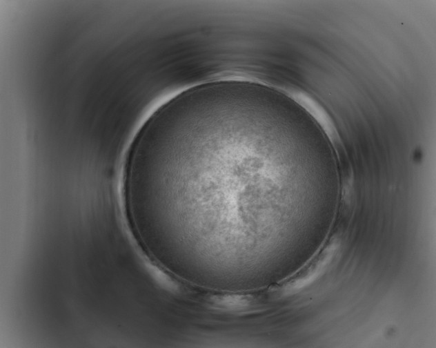 X0000103141149200808291333