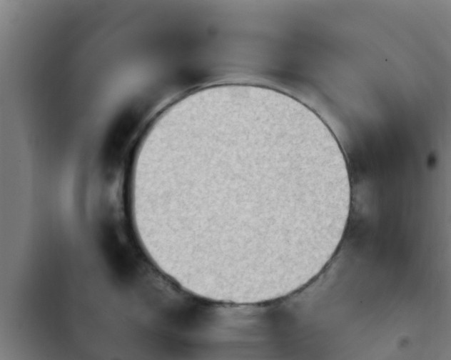 X0000103141150200808291333