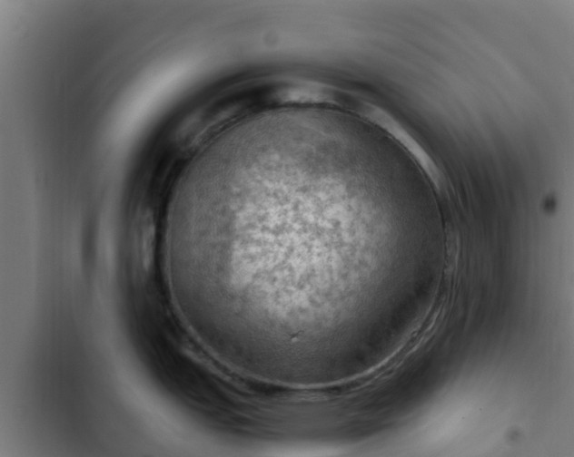 X0000103141151200808291333