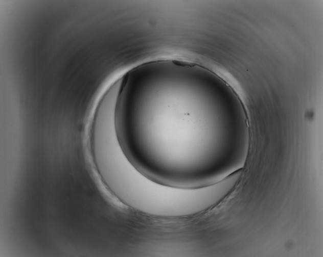 X0000103141152200808291333