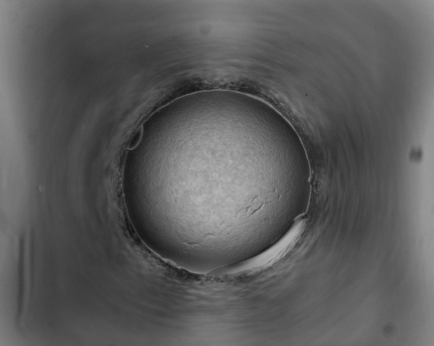 X0000103141153200808291332