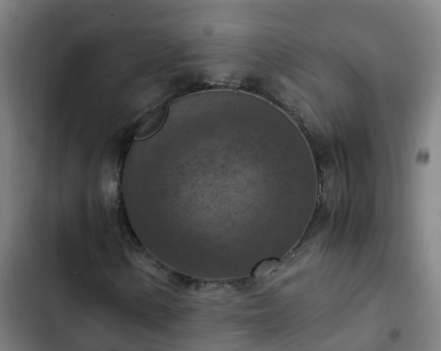 X0000103141154200808291332