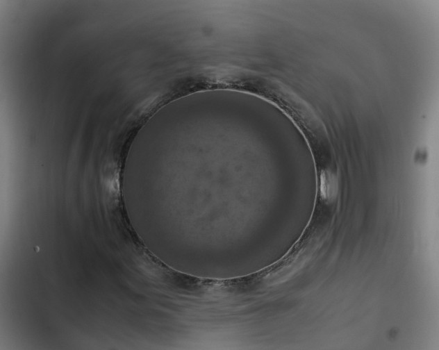 X0000103141155200808291332