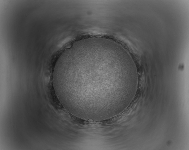 X0000103141157200808291332