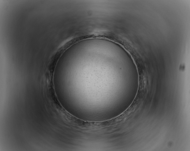 X0000103141158200808291332