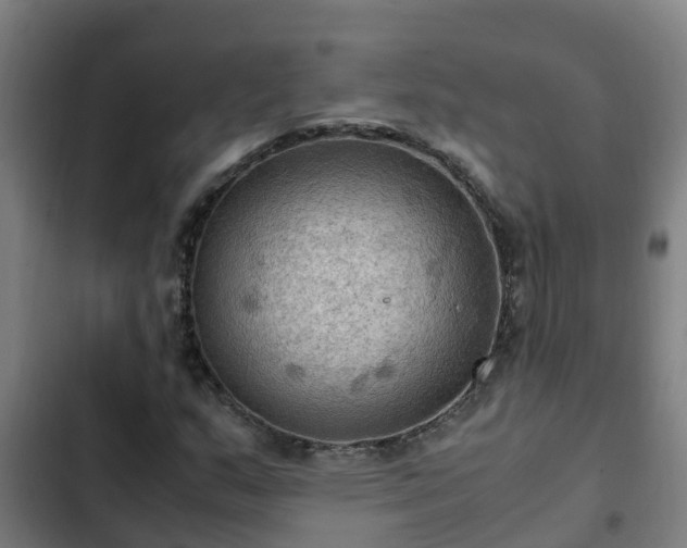 X0000103141159200808291332