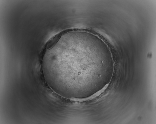 X0000103141160200808291332