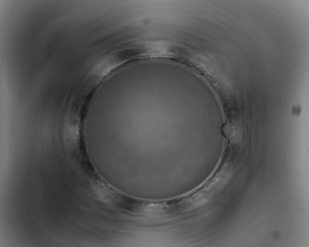 X0000103141161200808291332