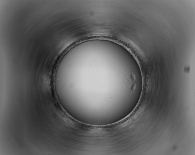 X0000103141162200808291332