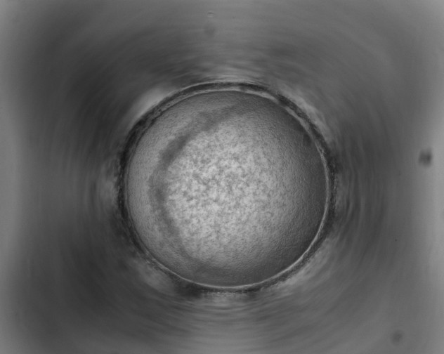 X0000103141163200808291332