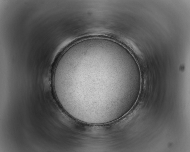 X0000103141164200808291332