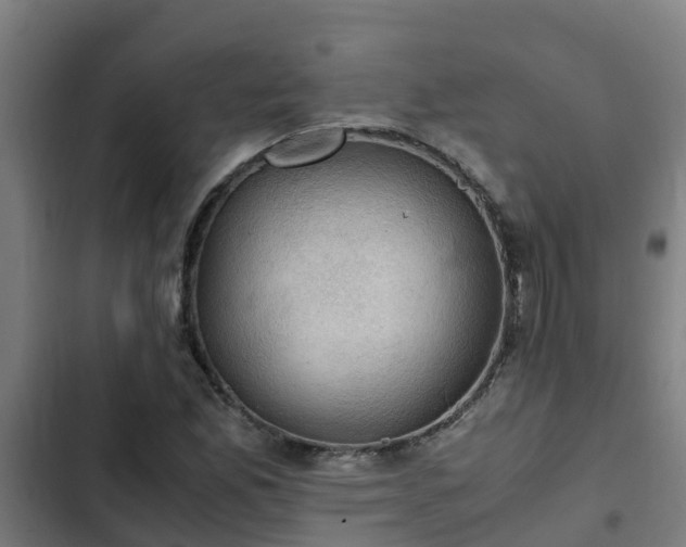 X0000103141165200808291332