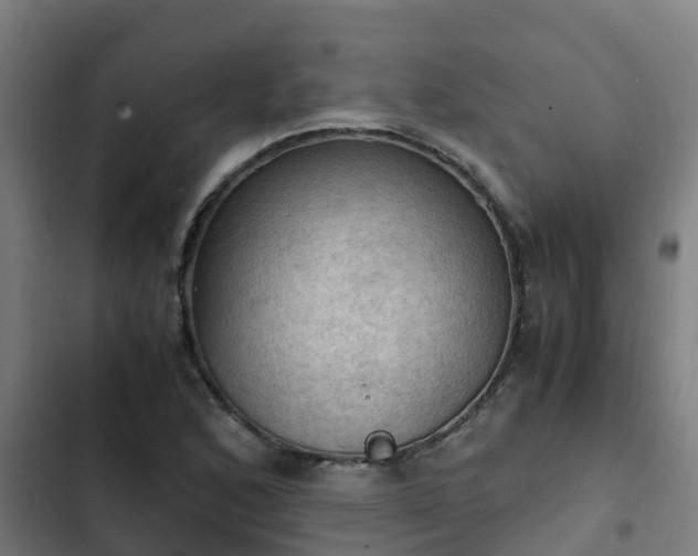 X0000103141168200808291332