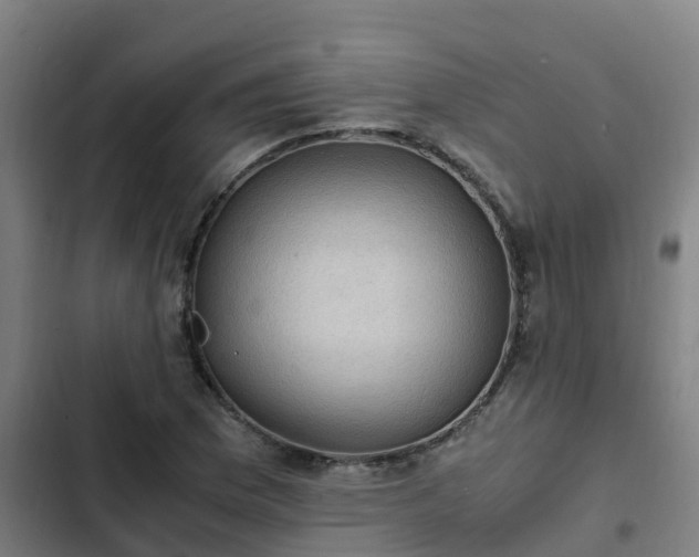 X0000103141169200808291332