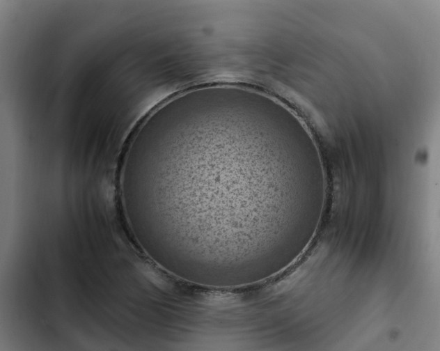 X0000103141170200808291332