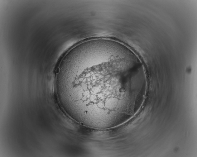 X0000103141171200808291332