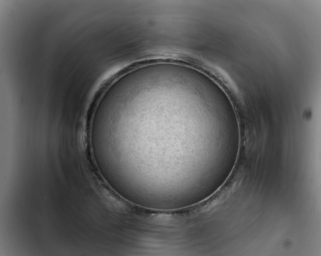 X0000103141172200808291332