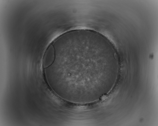 X0000103141173200808291332