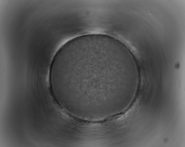 X0000103141174200808291332