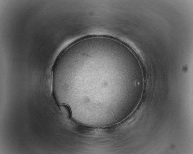 X0000103141175200808291332