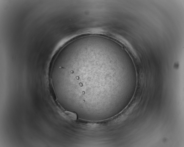 X0000103141176200808291332