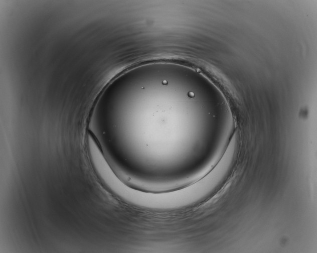 X0000103141177200808291332