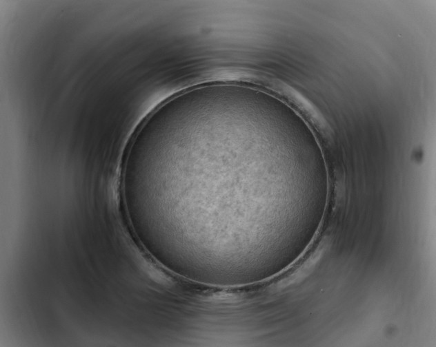 X0000103141178200808291332