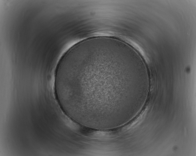 X0000103141179200808291332