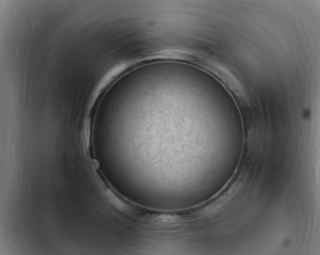 X0000103141180200808291332