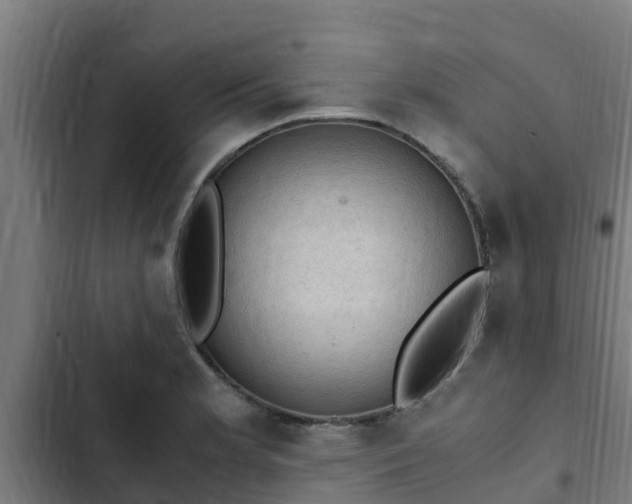 X0000103141181200808291332