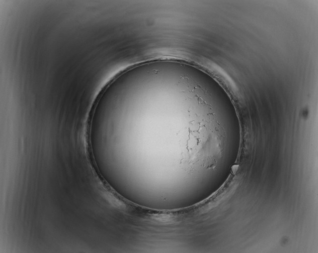 X0000103141182200808291331