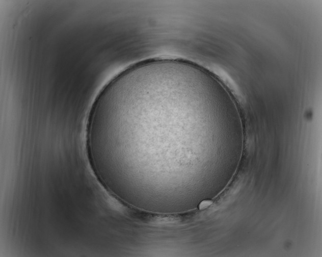 X0000103141183200808291331