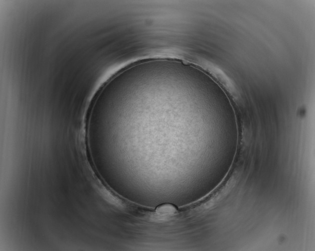 X0000103141184200808291331