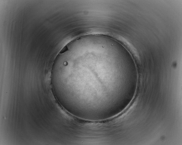 X0000103141185200808291331