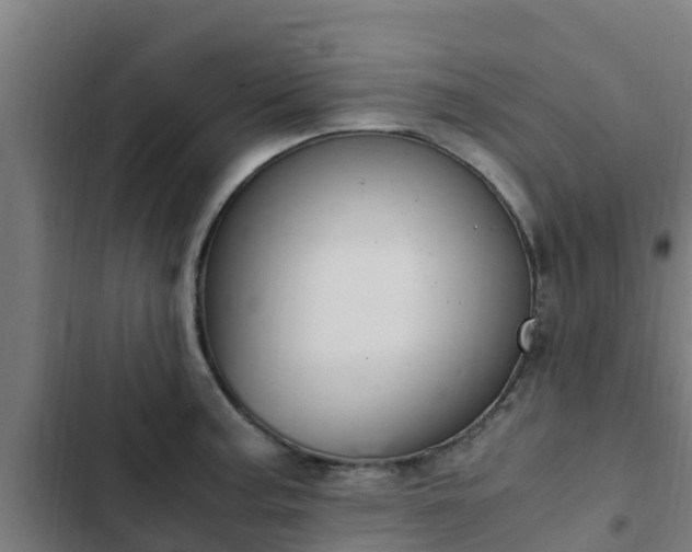 X0000103141187200808291331