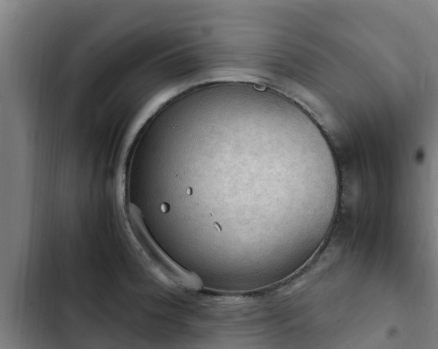 X0000103141188200808291331