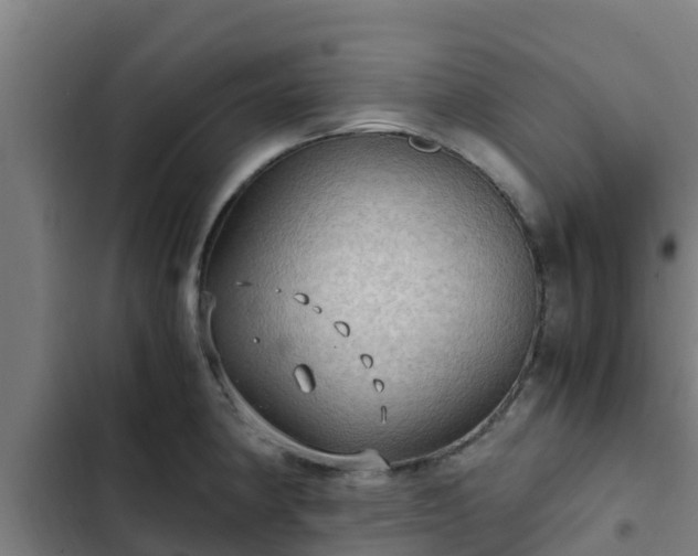 X0000103141190200808291331