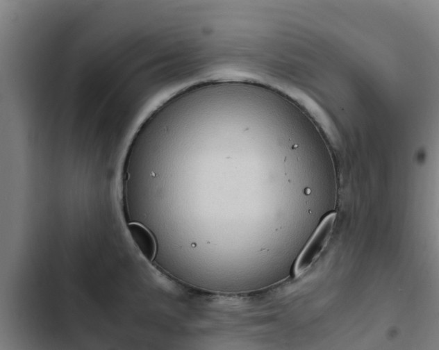 X0000103141191200808291331