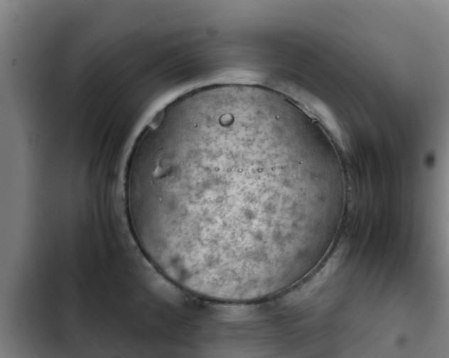 X0000103141192200808291331