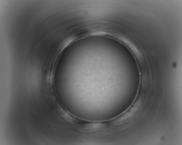 X0000103141193200808291331