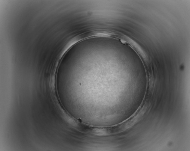 X0000103141194200808291331