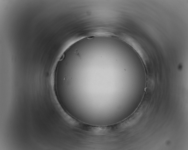 X0000103141195200808291331