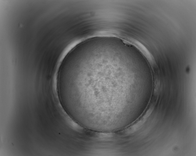 X0000103141196200808291331