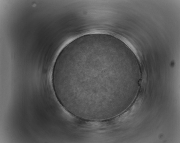 X0000103141197200808291331