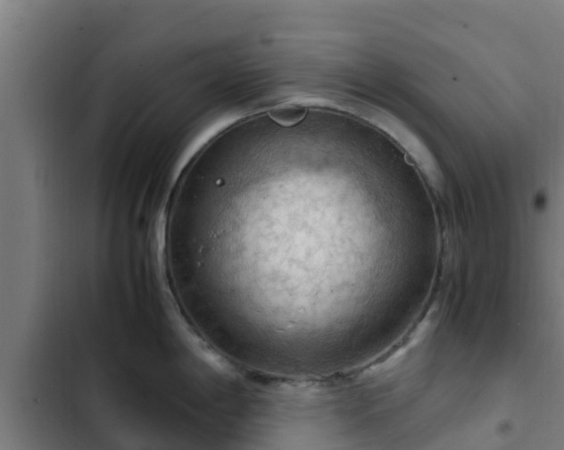 X0000103141198200808291331