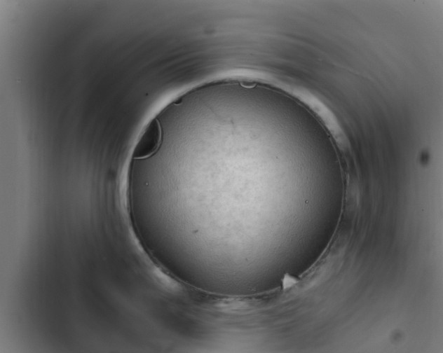 X0000103141199200808291331