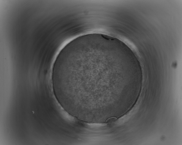 X0000103141200200808291331